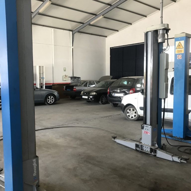 Foto 25 6 19 16 23 07 768x768