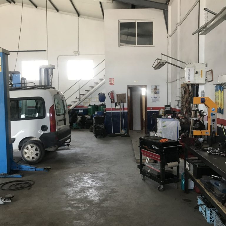 Foto 25 6 19 16 23 09 768x768