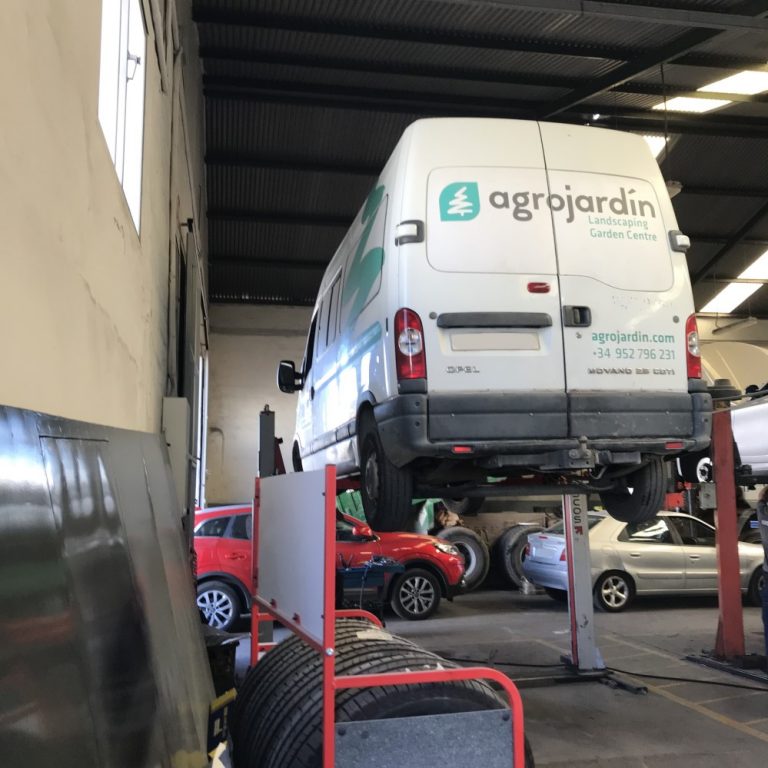 Foto 9 10 19 11 34 30 768x768