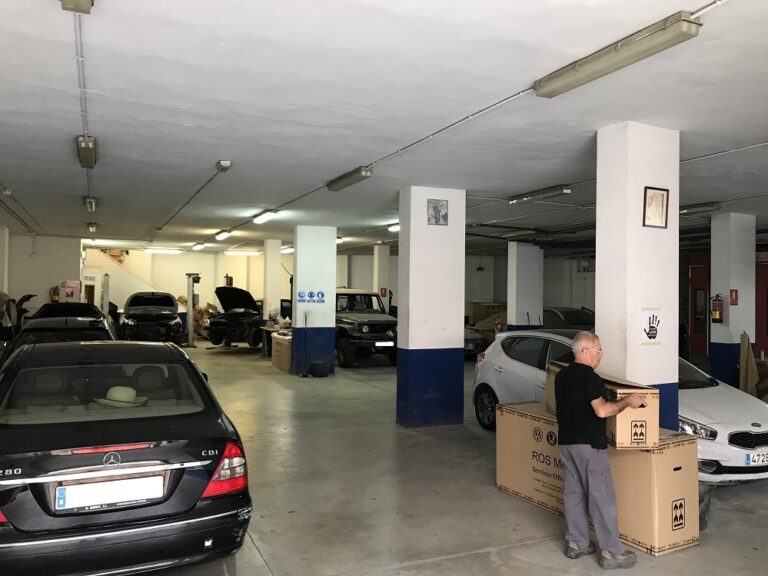 Foto 11 9 18 10 46 16 768x576