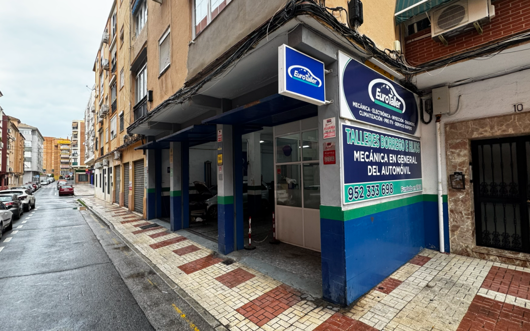 Talleres Borrego e Hijos, S.L.