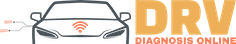 Logo DRV Diagnosis online